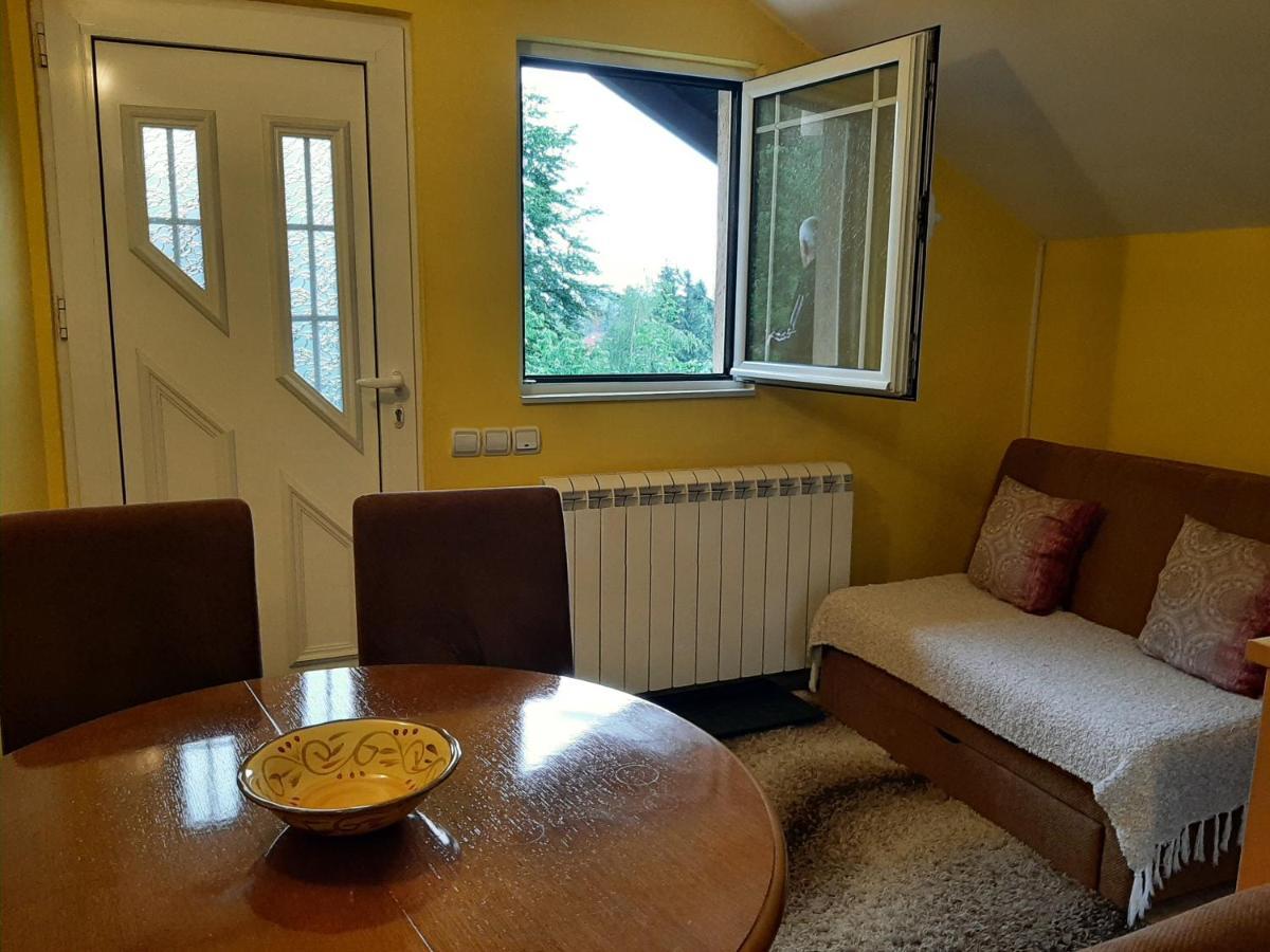 Apartments Junior Zlatibor Esterno foto